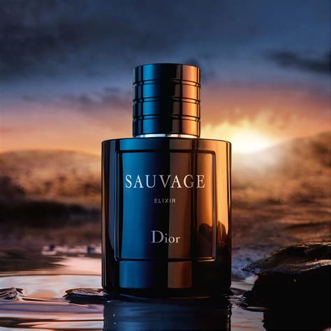 dior sauvage 100ml elixir|sauvage elixir 100ml best price.